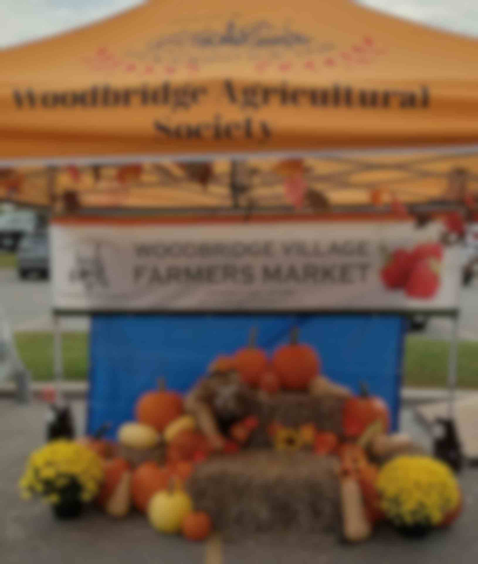 Pumpkin Patch at The Woodbridge Village Farmers Market