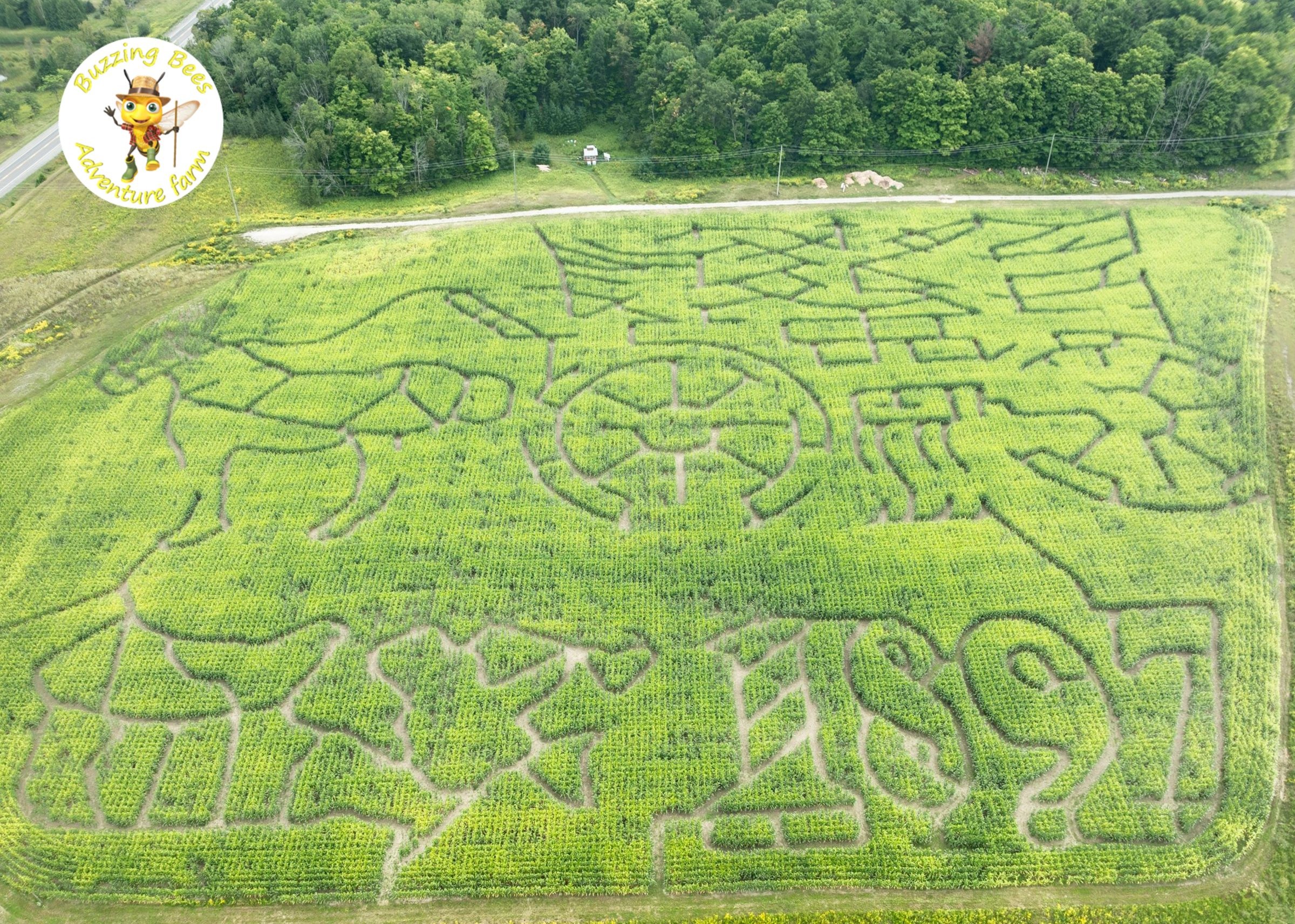 canadian-pioneer-challenge-corn-maze-york-durham-headwaters