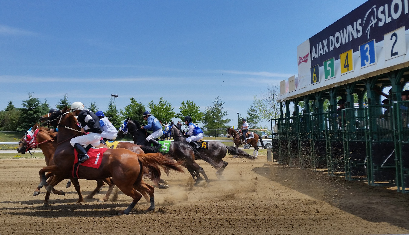 Ajax Downs Racetrack York Durham Headwaters